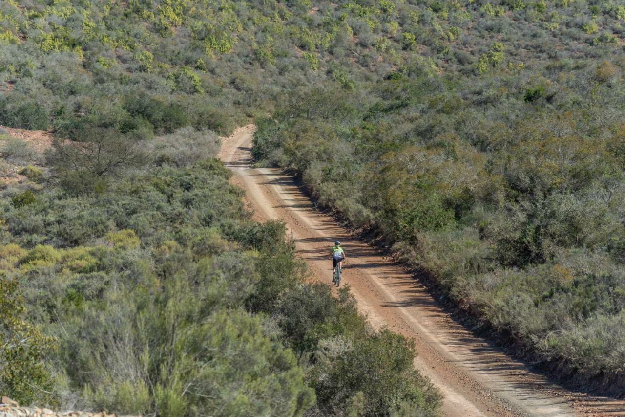 Rooiberg Lodge Van Wyksdorp Buitenkant foto