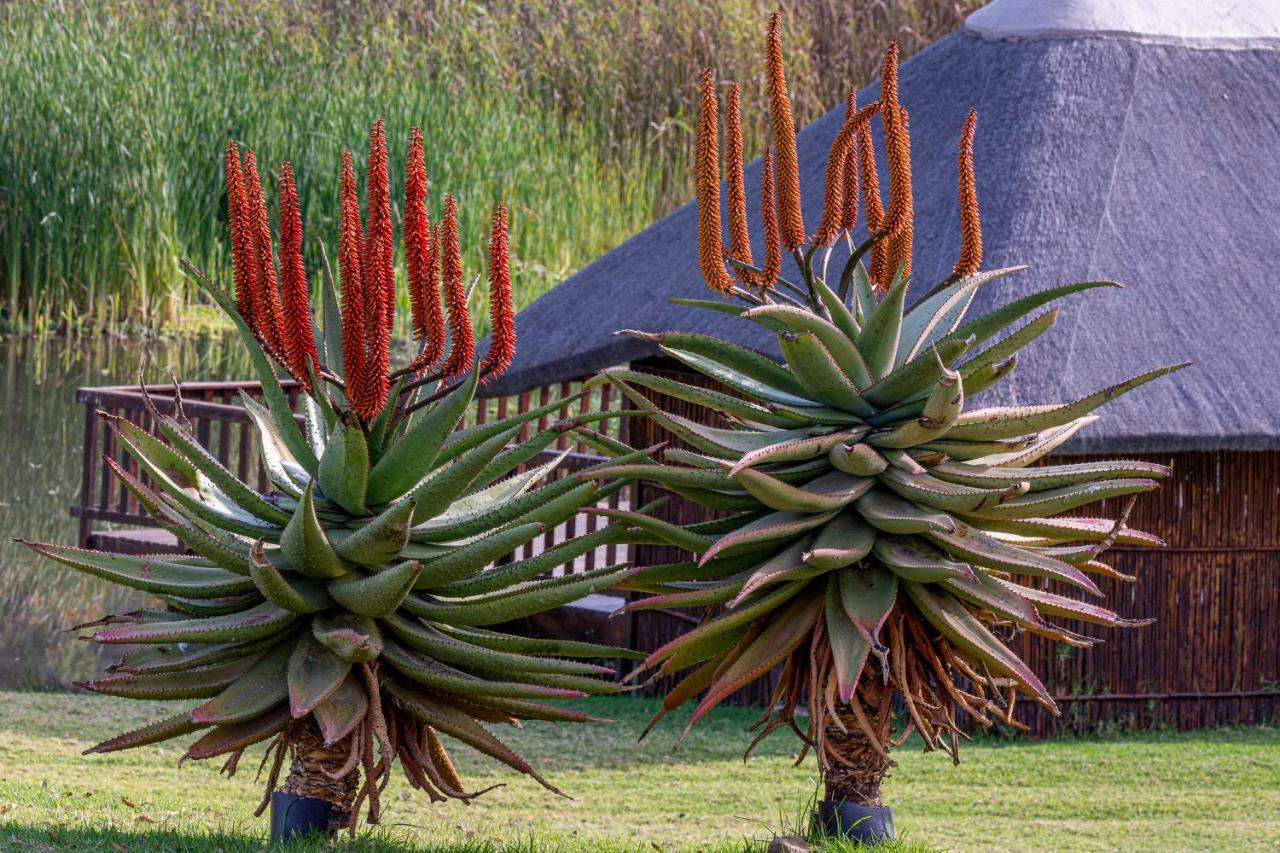 Rooiberg Lodge Van Wyksdorp Buitenkant foto